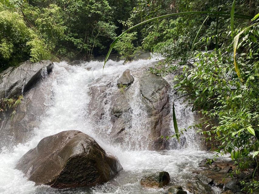 Phuket: Bamboo Rafting, Monkey Cave, and ATV Option - Thai lunch, fruit, and a welcome break