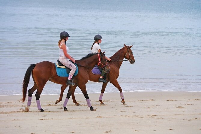 Phuket Beach and Horse Rides 1 Hour Experience - What the one-hour ride actually includes