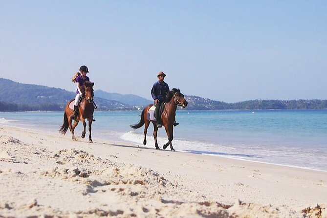 Phuket Beach and Horse Rides 1 Hour Experience - Is $44.97 good value for one hour?