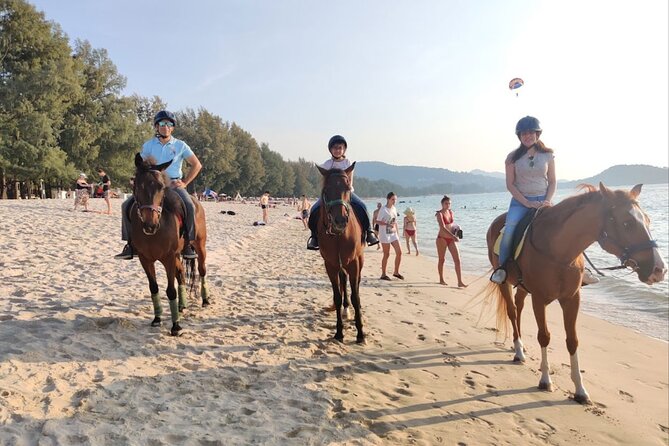 Phuket Beach and Horse Rides 1 Hour Experience - Why beginners are likely to enjoy it