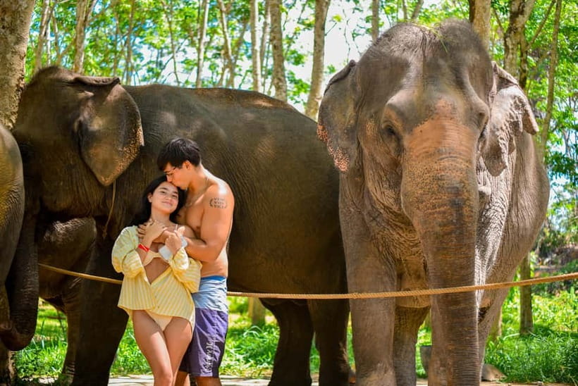 Phuket:Beach walk with elephants, rain & care. 2.5 hours - Key points at a glance