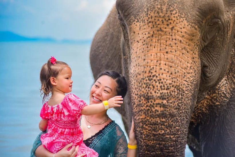 Phuket:Beach walk with elephants, rain & care. 2.5 hours - Why the beach setting changes the elephant experience