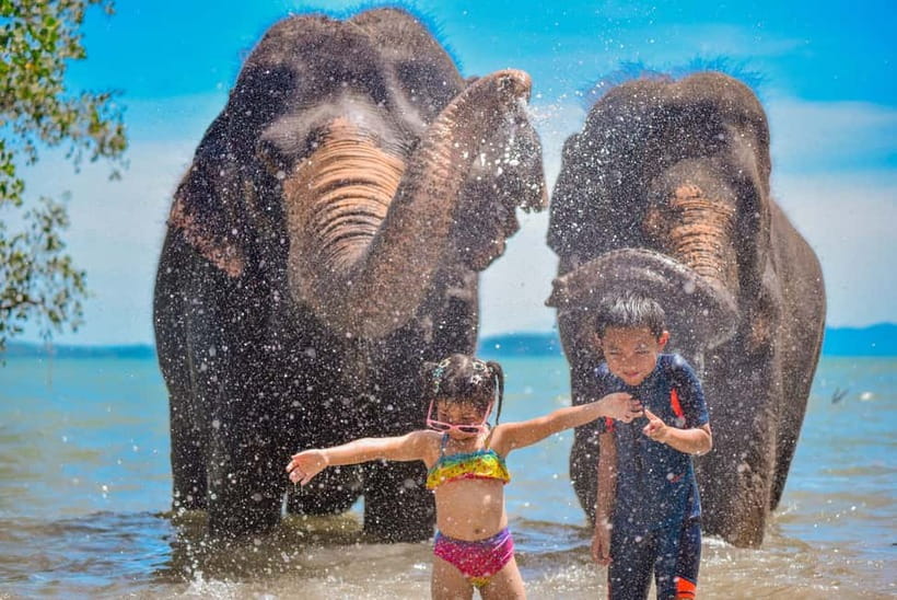 Phuket:Beach walk with elephants, rain & care. 2.5 hours - A 15 to 20 minute walk through the camp