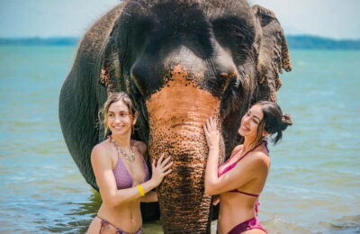 Beach walk with elephants, rain & care. 2.5 hours