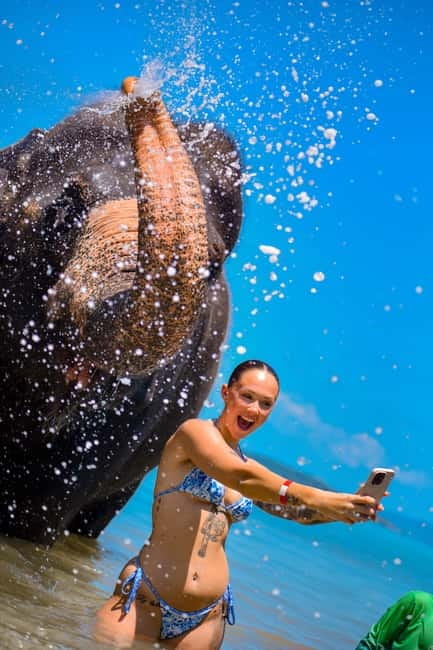 Phuket:Beach walk with elephants, rain & care. 2.5 hours - Who will get the most from this visit