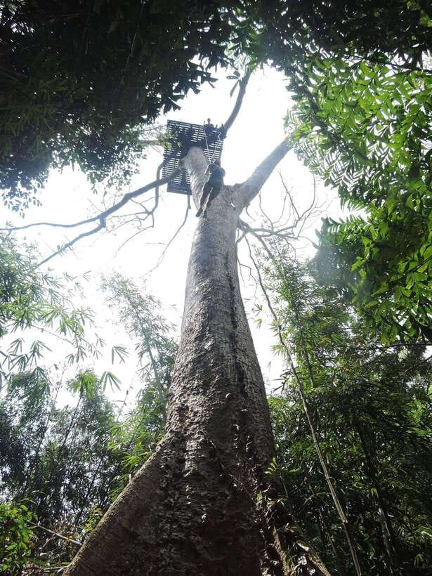 Phuket: Big Buddha Viewpoint ATV Tour and Zipline Adventure - Should you book it?