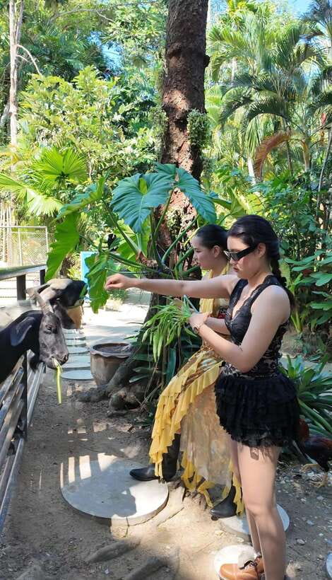 Phuket: Bird Park Entry Ticket - Key points to know before you go