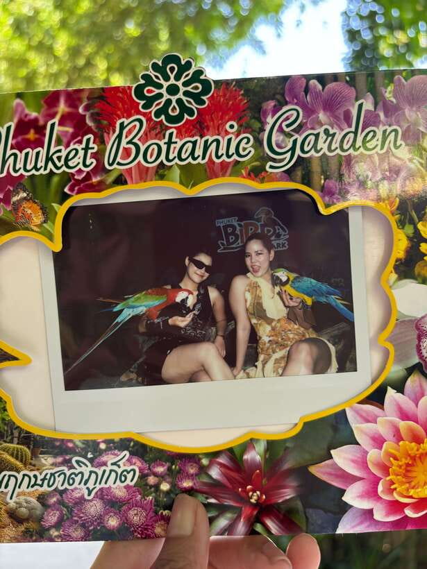 Phuket: Bird Park Entry Ticket - What the Phuket Bird Park experience is really like