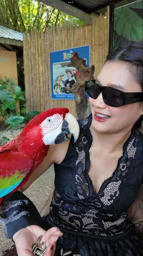 Phuket: Bird Park Entry Ticket - Taking photos without missing the moment