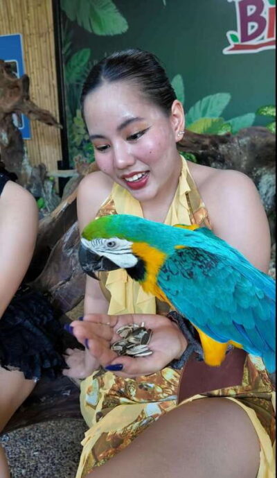 Bird Park Entry Ticket