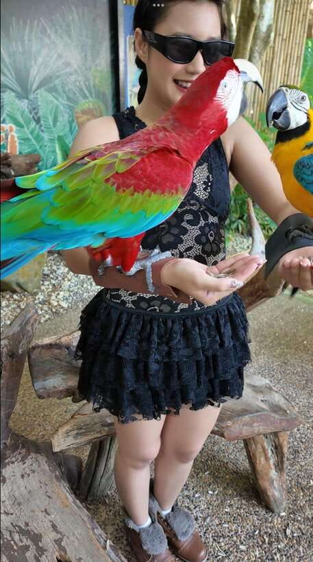 Phuket: Bird Park Entry Ticket - Who will enjoy this most?