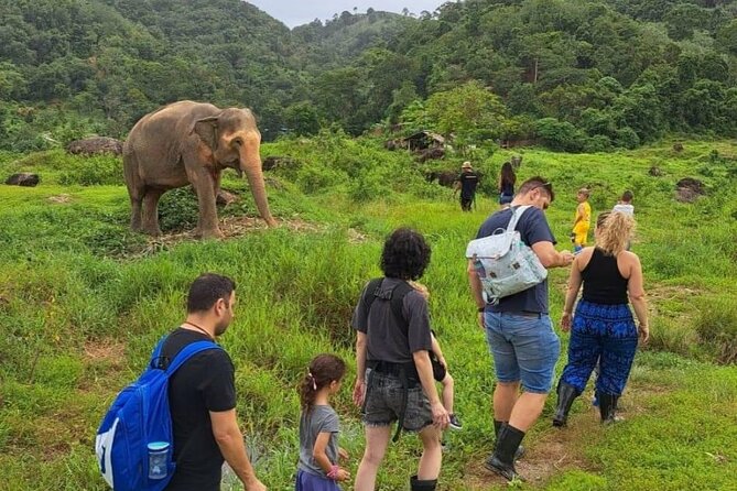 Phuket City Tour & Elephant Sanctuary – Town, Temple, Food & View - Why this tour works as a first look at Phuket