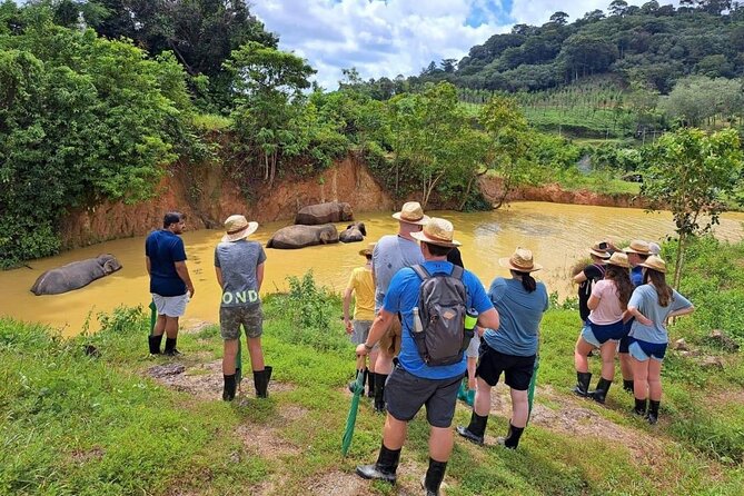 Phuket City Tour & Elephant Sanctuary – Town, Temple, Food & View - Bukit Elephant Park is the main reason to go