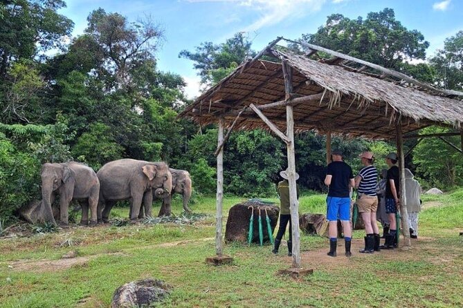 Phuket City Tour & Elephant Sanctuary – Town, Temple, Food & View - Big Buddha is still worthwhile, with limits