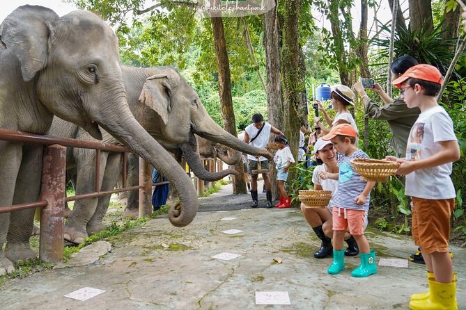 Phuket City Tour & Elephant Sanctuary – Town, Temple, Food & View - A-pong gives the afternoon a tasty start