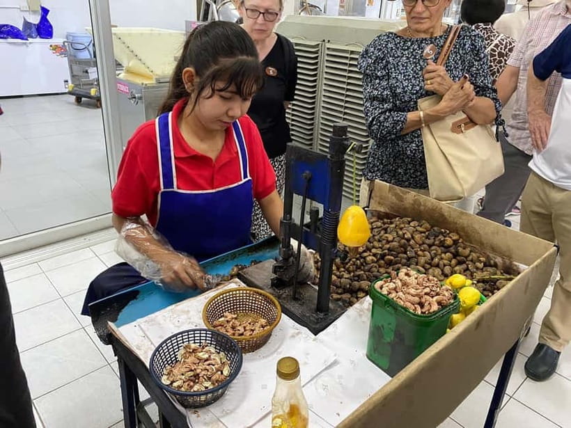 Phuket City Tour with Night Market Visit & Elephant Feeding - A full Phuket day in six hours