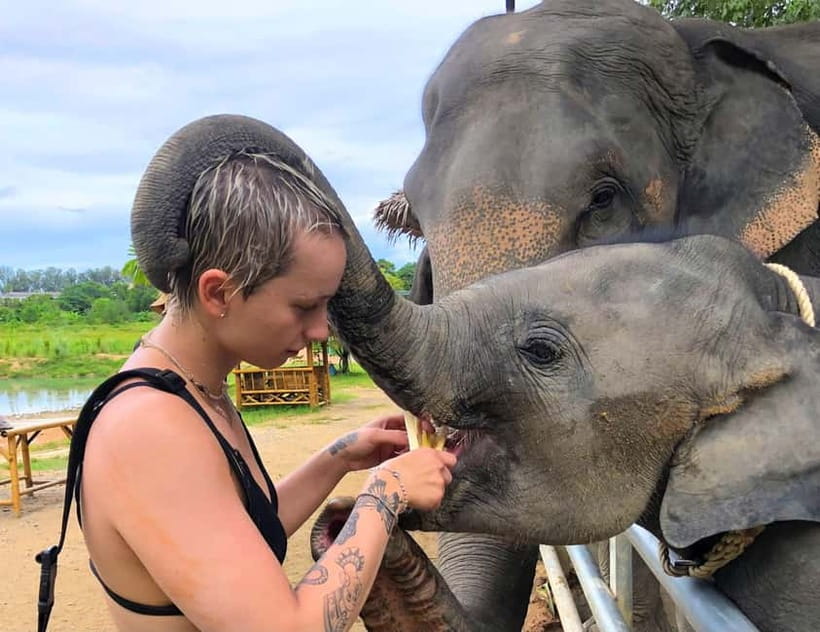 Phuket City Tour with Night Market Visit & Elephant Feeding - Karon and Windmill viewpoints: Phuket from above