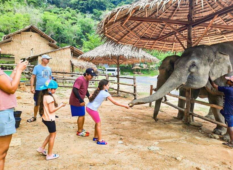 Phuket City Tour with Viewpoints, Temples & Elephant Feeding - Wat Chalong and Phuket’s Buddhist traditions