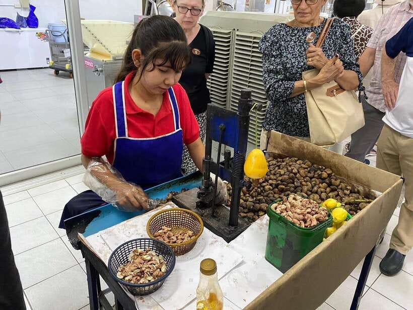 Phuket City Tour with Viewpoints, Temples & Elephant Feeding - The cashew factory and short shopping stops