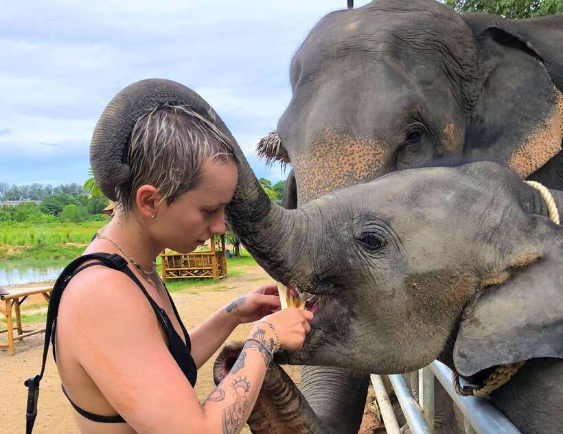 Phuket City Tour with Viewpoints, Temples & Elephant Feeding - Khao Rang Hill and Phuket’s inland views
