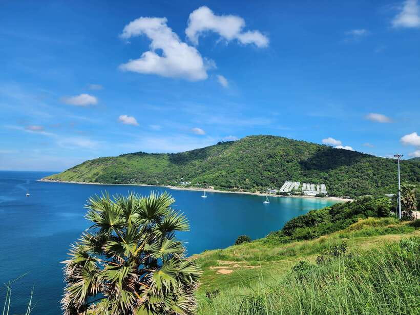 Phuket City Tour with Viewpoints, Temples & Elephant Feeding - What the $48 price really covers