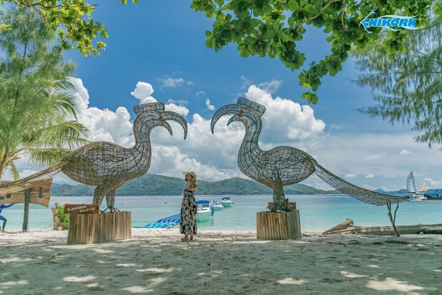 Phuket: Coral Island Day Tour by Speedboat - Optional activities and how to judge them