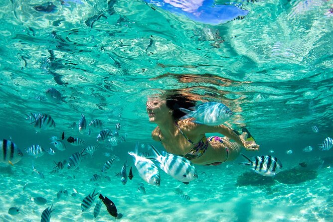 Phuket Coral Island Private Snorkeling Adventure All Inclusive - Key points to know before booking