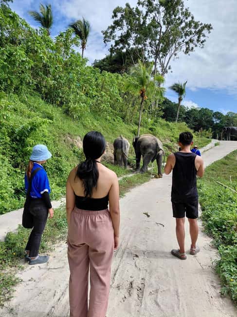 Phuket: Eco Guided Tour at Elephant Sanctuary - A Short Visit With a Clear Ethical Message