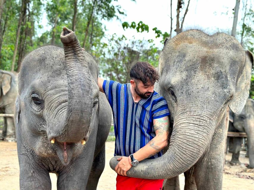 Phuket: Elephant Experience with Lunch or Dinner and Pickup - The Phuket Pickup and One-Hour Van Ride