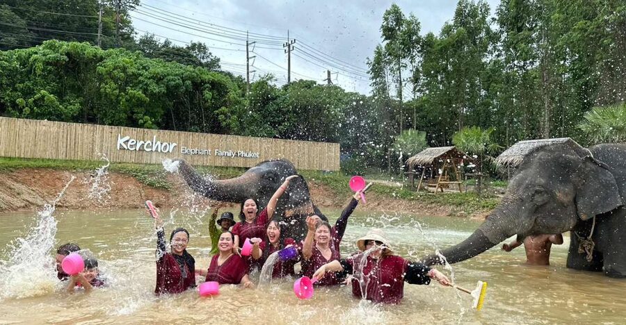Phuket: Elephant Experience with Lunch or Dinner and Pickup - Karen Tie-Dye Before the Elephant Feeding