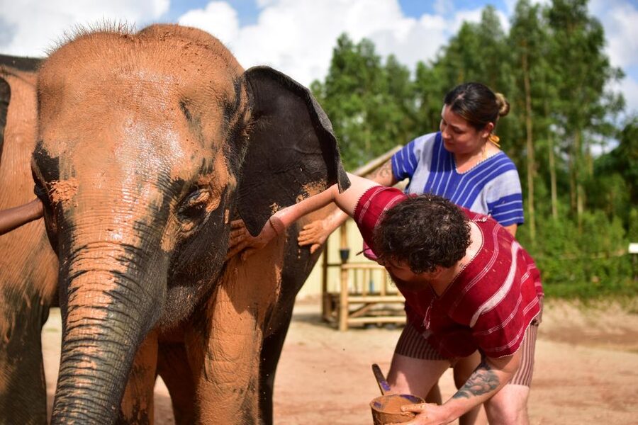 Phuket: Elephant Experience with Lunch or Dinner and Pickup - A Jungle Walk That Shows More Than a Photo Stop