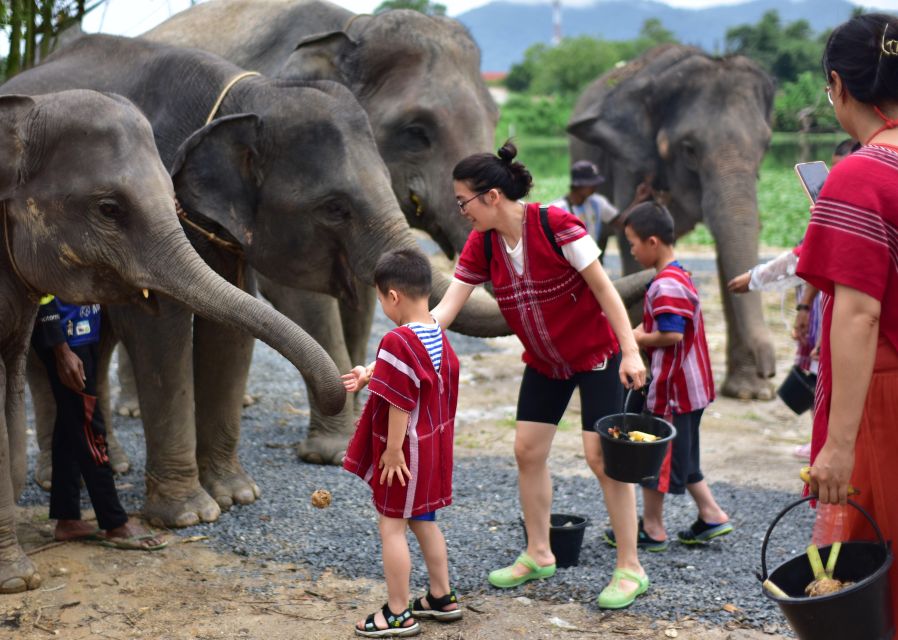 Phuket: Elephant Experience with Lunch or Dinner and Pickup - The Mud Spa and the Wettest Part of the Day