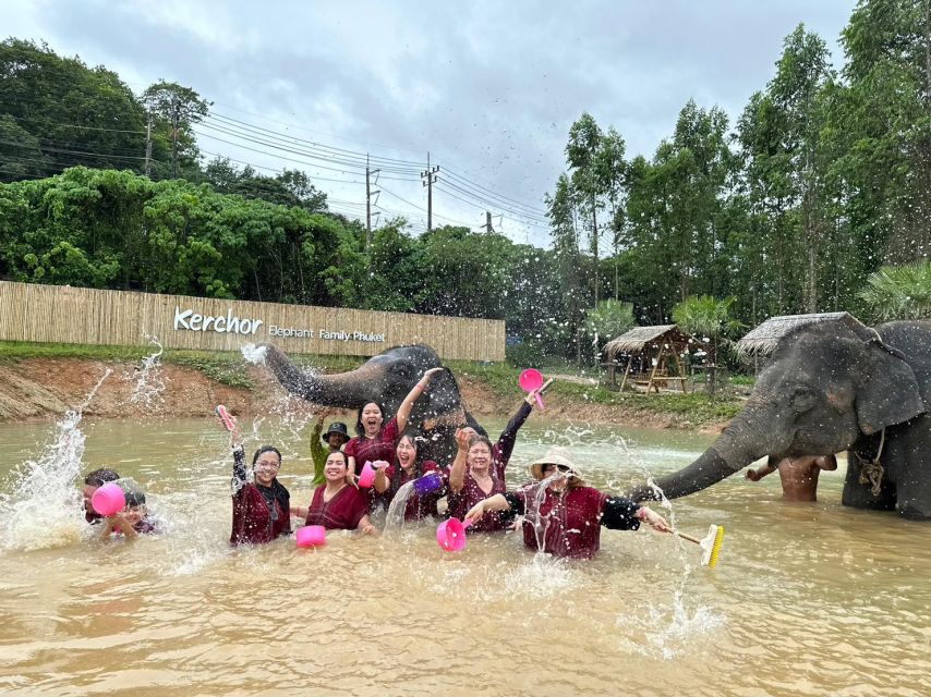 Phuket: Elephant Experience with Lunch or Dinner and Pickup - Thai Buffet Lunch or Dinner After the Water