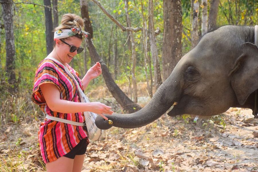 Phuket: Elephant Feeding Program - Key points to know