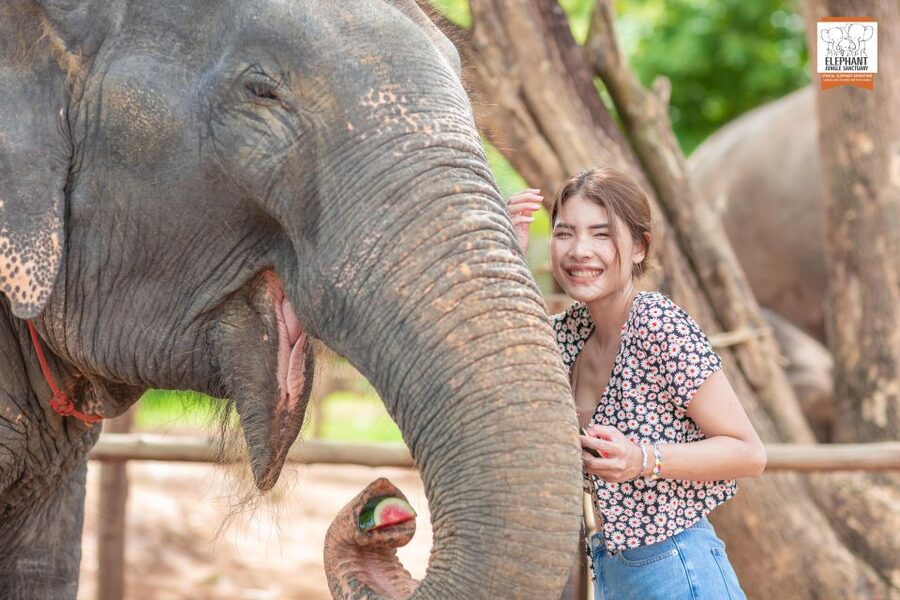 Phuket: Elephant Jungle Sanctuary Ethical Feeding Experience - Why the no-riding policy matters