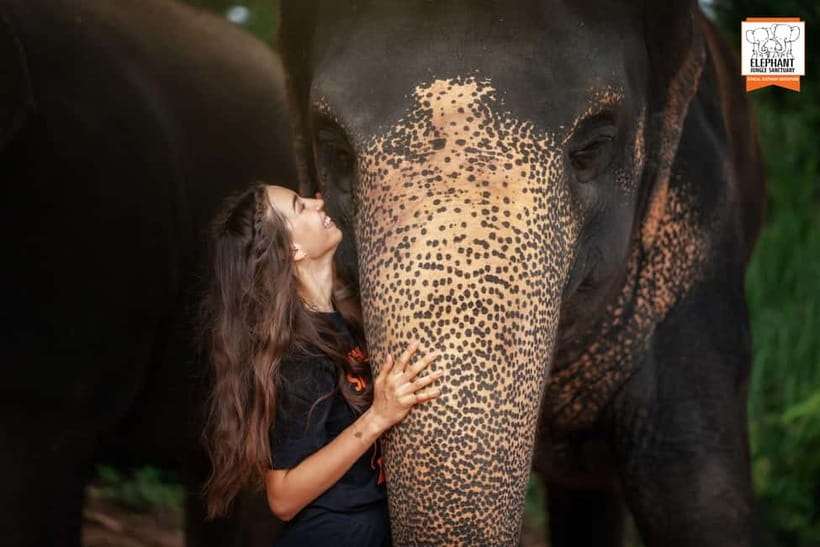 Phuket: Elephant Jungle Sanctuary Ethical Feeding Experience - Is $28 good value for Phuket?