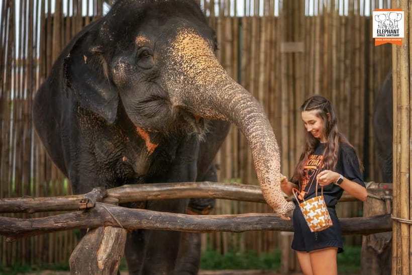 Phuket: Elephant Jungle Sanctuary Ethical Feeding Experience - Getting ready for heat, dirt, and close contact