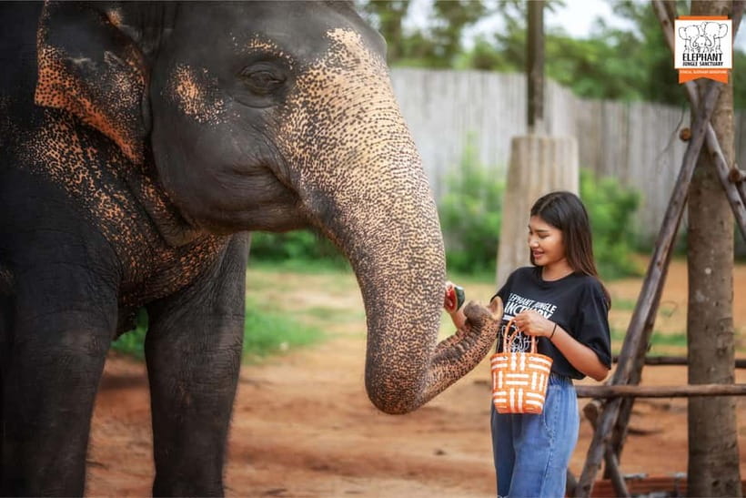 Phuket: Elephant Jungle Sanctuary Ethical Feeding Experience - Practical booking advice for a smoother visit