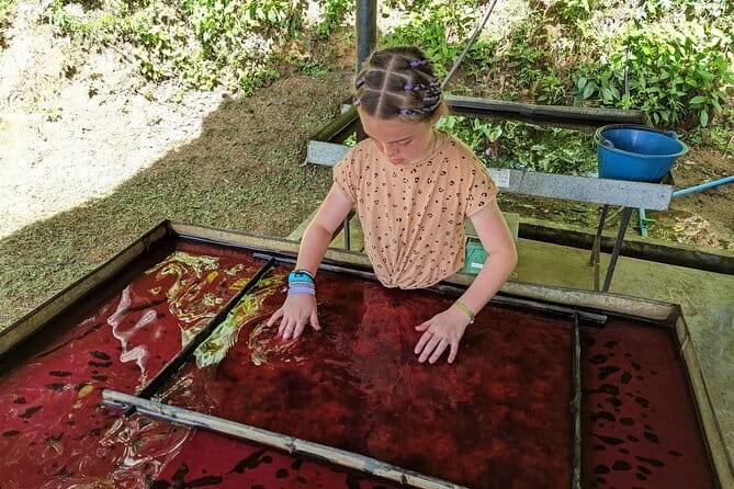 Phuket Elephant Nature Reserve Ethical Sanctuary - Why the hands-off rule matters in Phuket