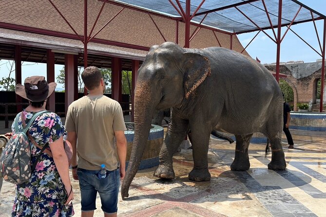 Phuket: Elephant Nature Walk - Guided Tour with Transport - River time, splashing, and cooling off