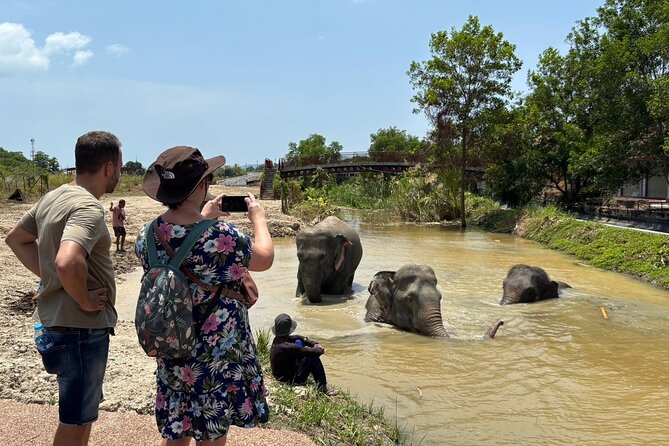 Phuket: Elephant Nature Walk - Guided Tour with Transport - Who will enjoy this elephant walk?