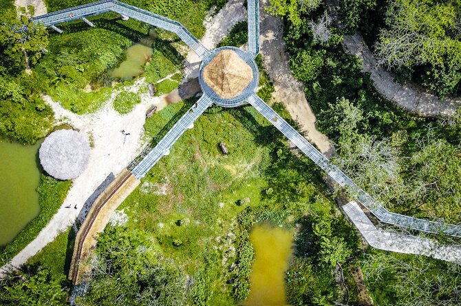 Phuket Elephant Sanctuary Canopy Walkway Tour - What the animals’ daily setting tells you