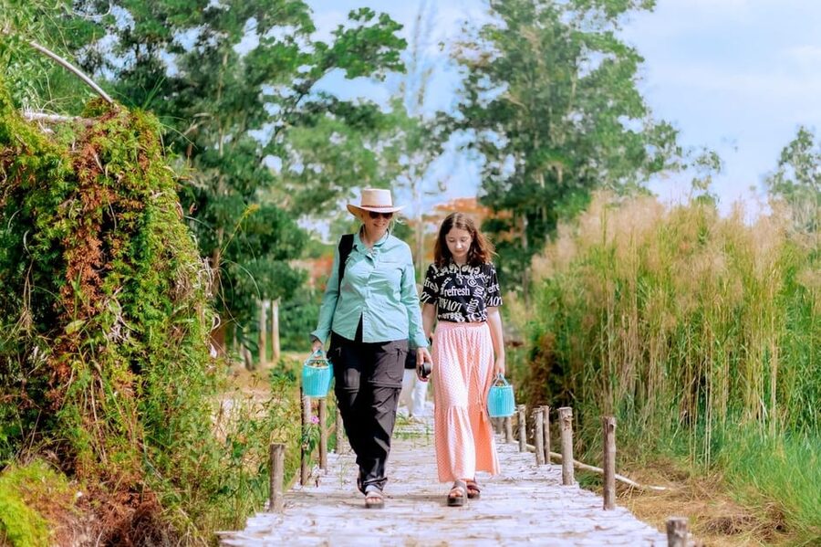 Phuket: Elephant Sanctuary Feed and Bathe Gentle Giants - How this experience compares in practical value