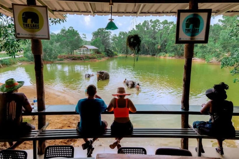 Phuket: Elephant Sanctuary Feed and Bathe Gentle Giants - Booking flexibility and useful preparation
