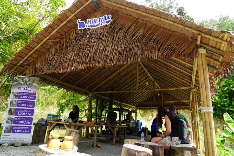 Phuket: Elephant Sanctuary Guided Tour with Hotel Transfers - Key points at a glance