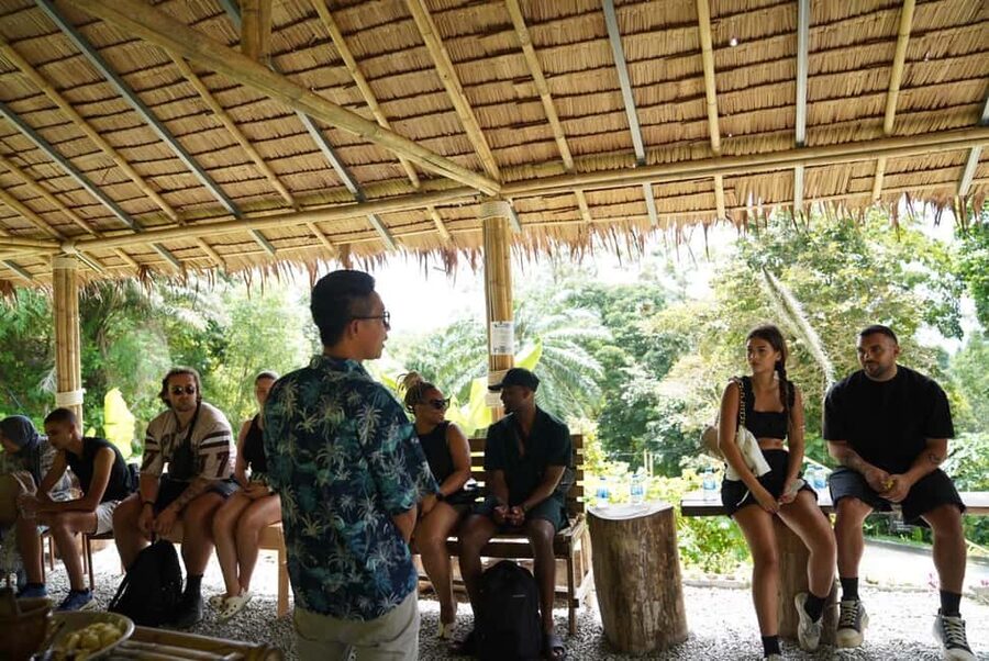 Phuket: Elephant Sanctuary Guided Tour with Hotel Transfers - Meeting rescued elephants above Patong