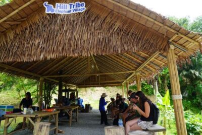 Elephant Sanctuary Guided Tour with Hotel Transfers