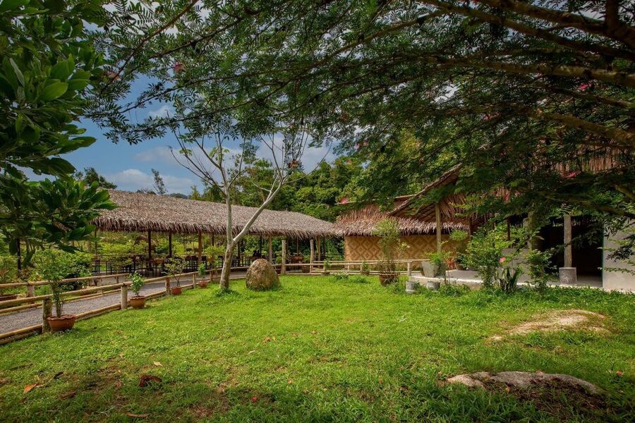 Phuket: Elephant Sanctuary Guided Tour with Hotel Transfers - Hotel transfers across Phuket