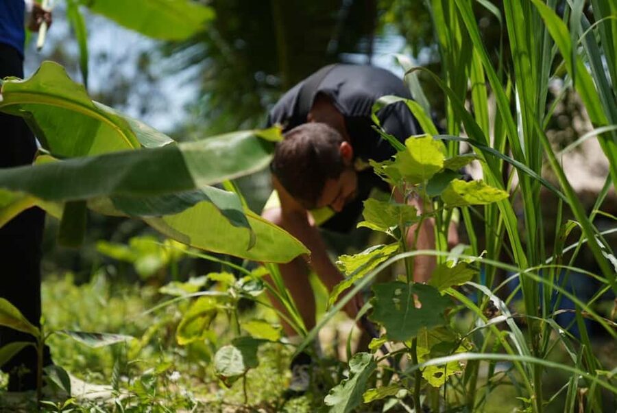 Phuket: Elephant Sanctuary Guided Tour with Hotel Transfers - Who should choose this experience