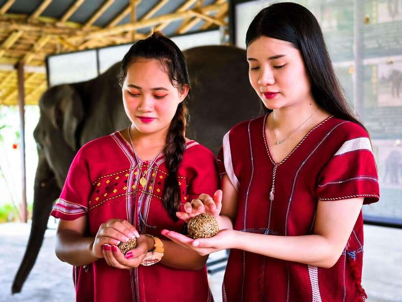 Phuket : Experience feeding and bathing elephants 1.5 Hrs. - Key points to know before booking